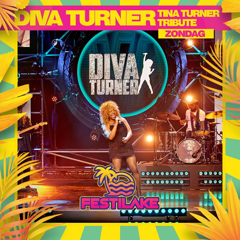 m_DIVA-TURNER1